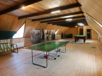 recreation center Krasnogorka - Table tennis (Ping-pong)