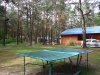 recreation center Komarovo - Table tennis (Ping-pong)
