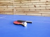 farmstead Jerelec - Table tennis (Ping-pong)
