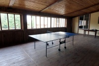 recreation center Berezovyj dvor - Table tennis (Ping-pong)