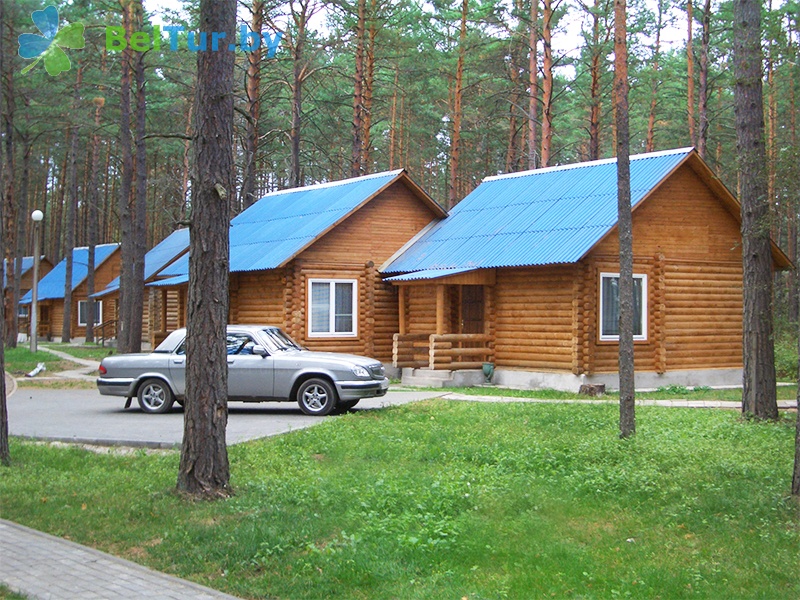 Базы отдыха новый год минск Базы отдыха новый год минск