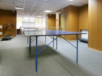 tourist complex Orsha - Table tennis (Ping-pong)