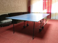 recreation center Lesnoe ozero - Table tennis (Ping-pong)