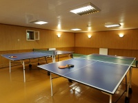 recreation center Milograd - Table tennis (Ping-pong)